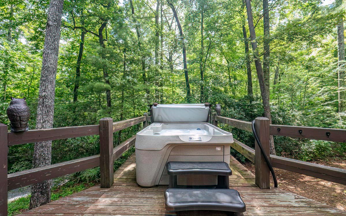 152 Tamisi Trail Blue Ridge, GA 30513 - Photo 44 of 52 Additional View