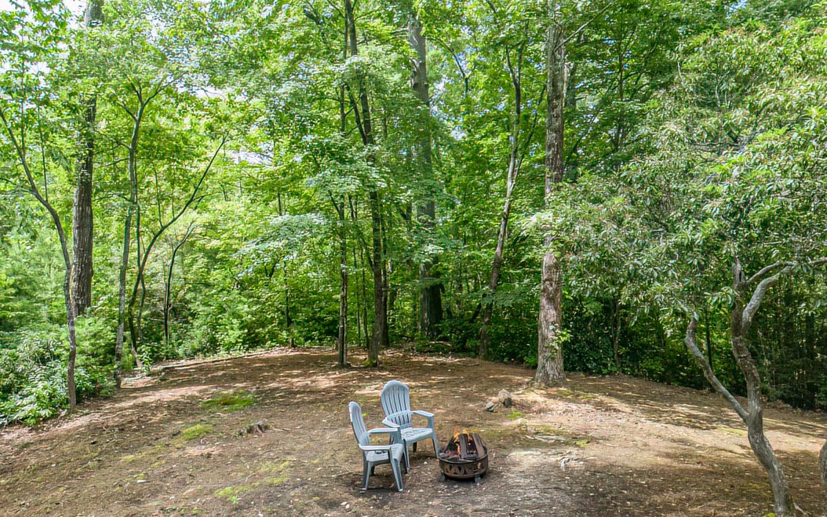 152 Tamisi Trail Blue Ridge, GA 30513 - Photo 48 of 52 Additional View