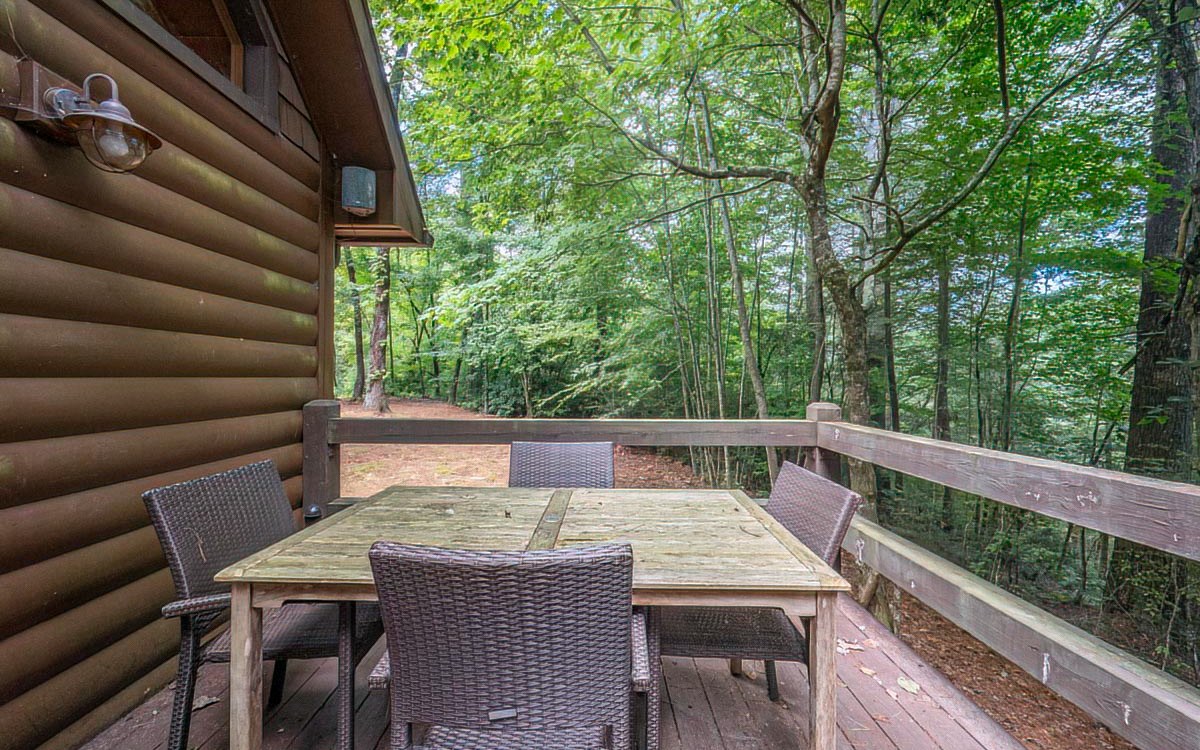 152 Tamisi Trail Blue Ridge, GA 30513 - Photo 51 of 52 Additional View