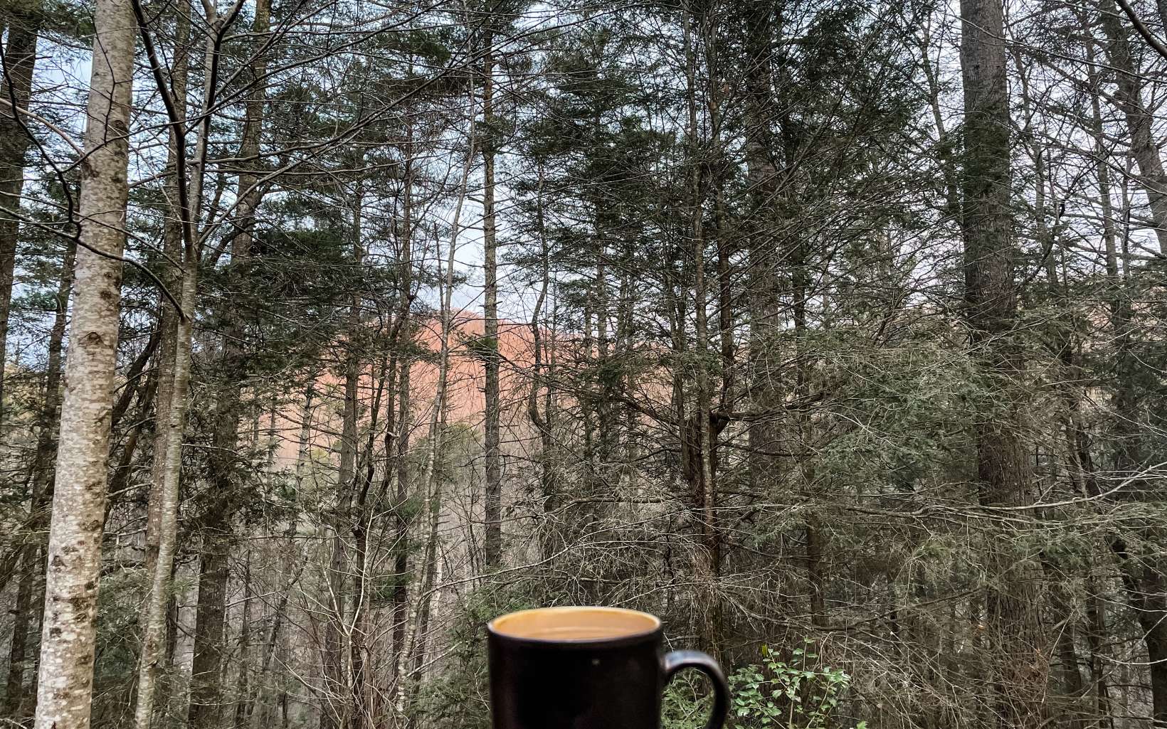 152 Tamisi Trail Blue Ridge, GA 30513 - Photo 52 of 52 Additional View