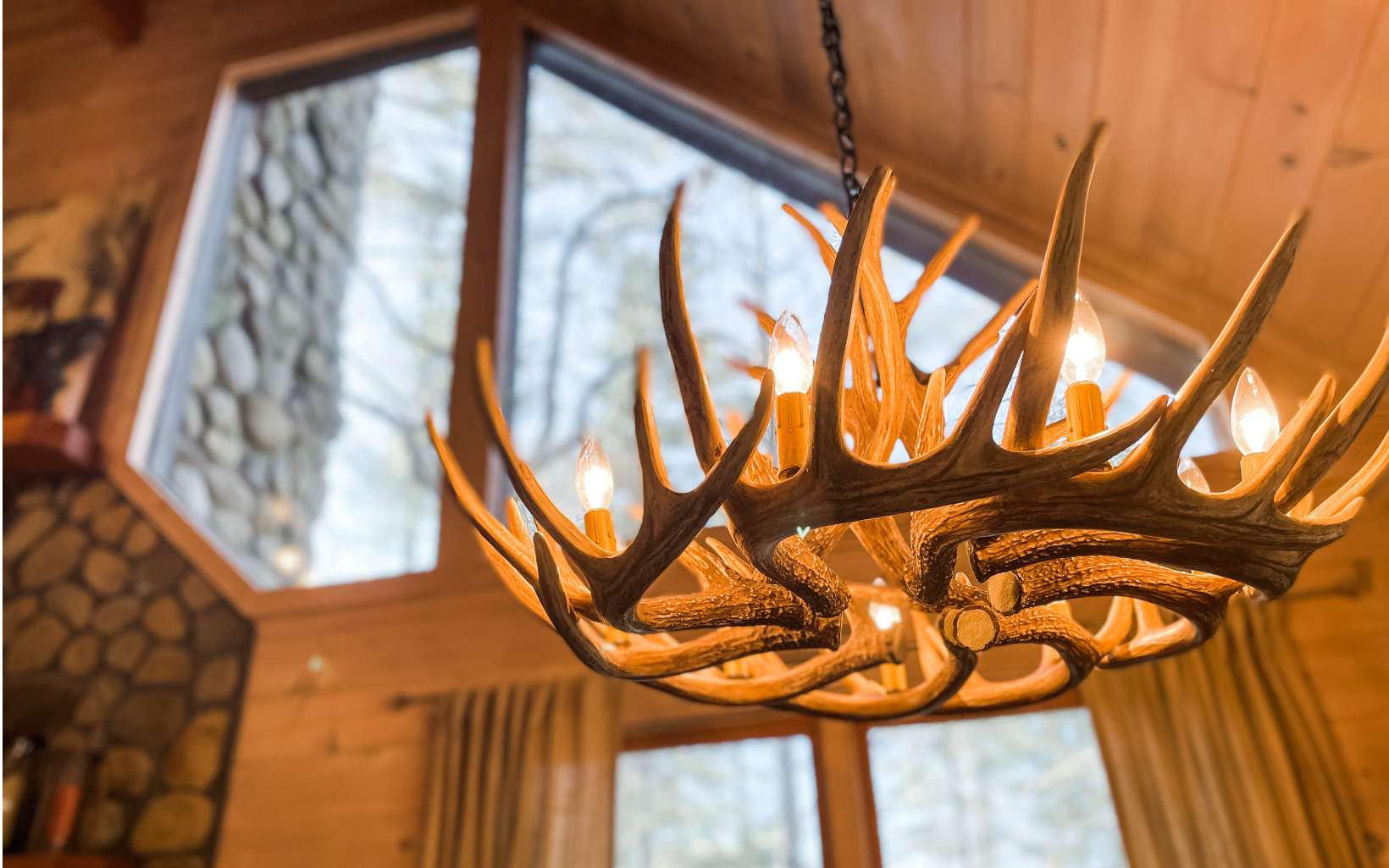 152 Tamisi Trail Blue Ridge, GA 30513 - Photo 9 of 52 Additional View