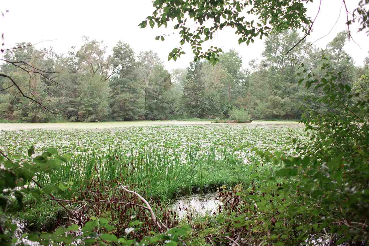13827 Schwartz Road Grabill, IN 46741 - Photo 10 of 12 Gallery Image 10
