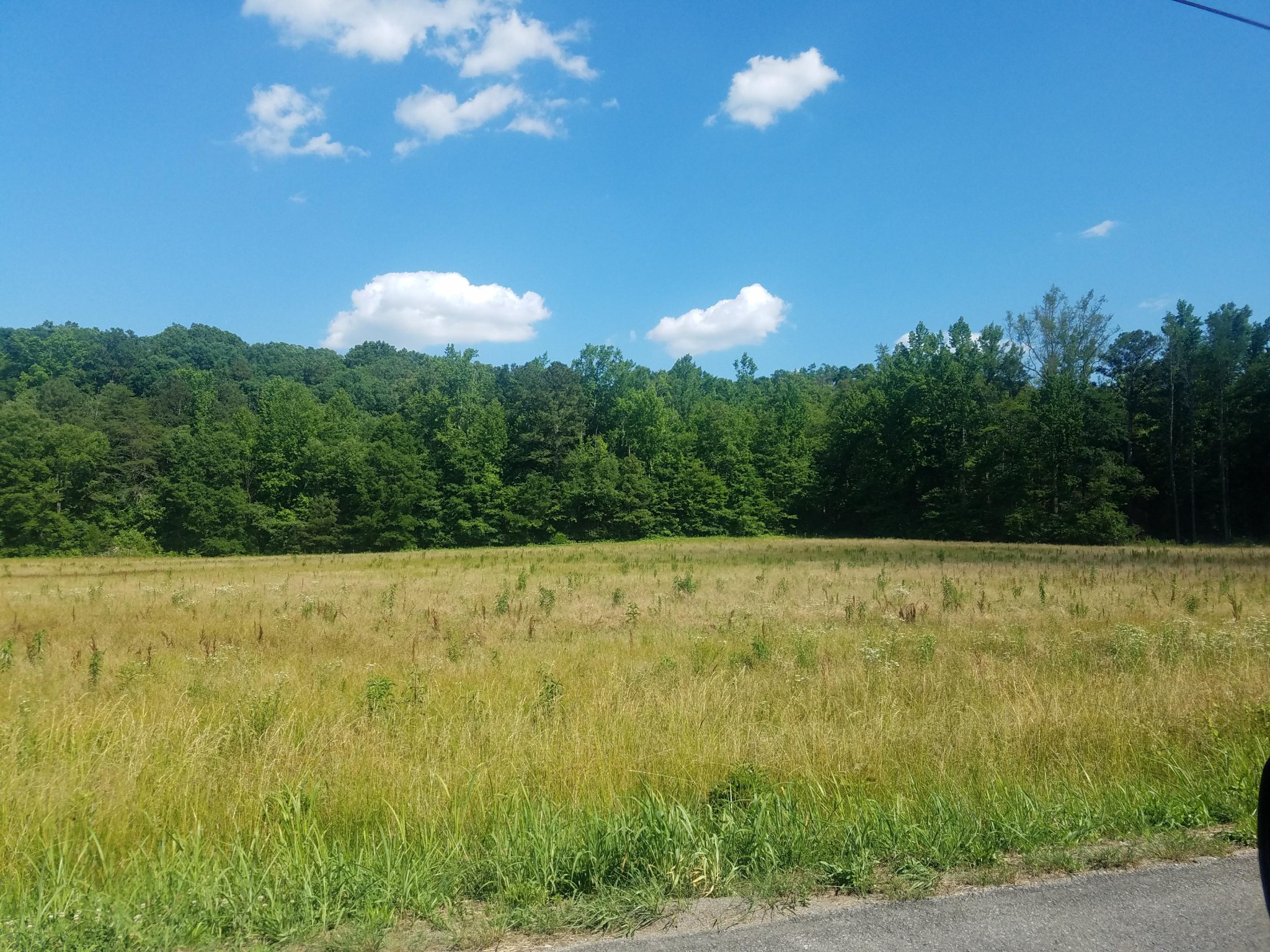 3 White Oak Valley Road Cleveland, TN 37312 - Photo 1 of 5 Gallery Image 1