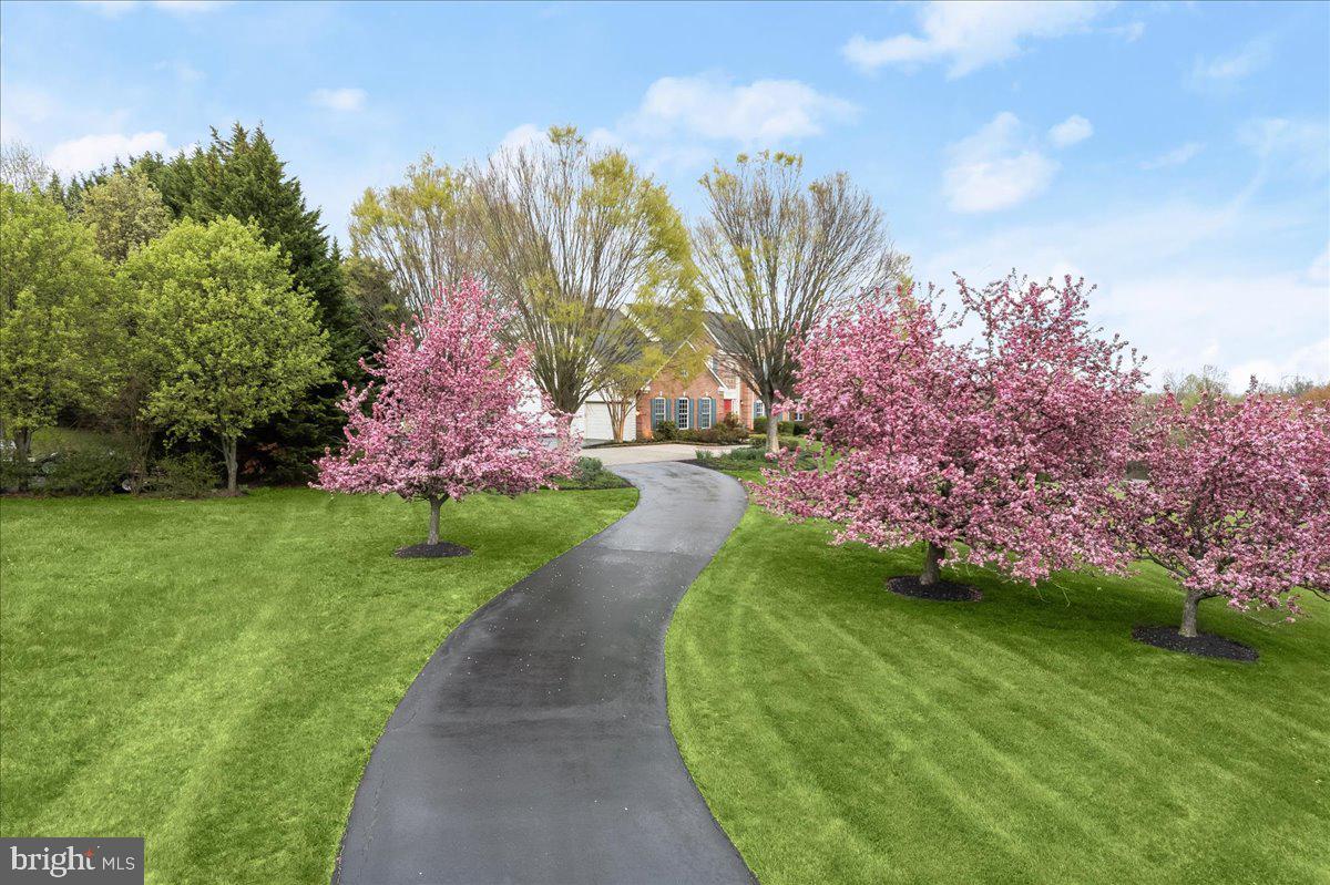 2406 Sapling Ridge Lane Brookeville, MD 20833 - Photo 87 of 108 Gallery Image 87