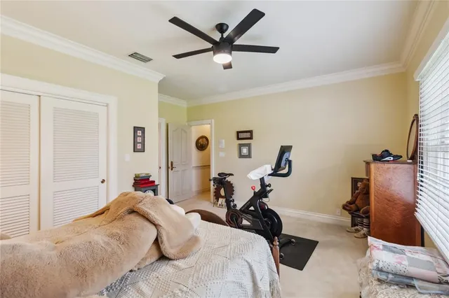 a bedroom with a bed couch and window