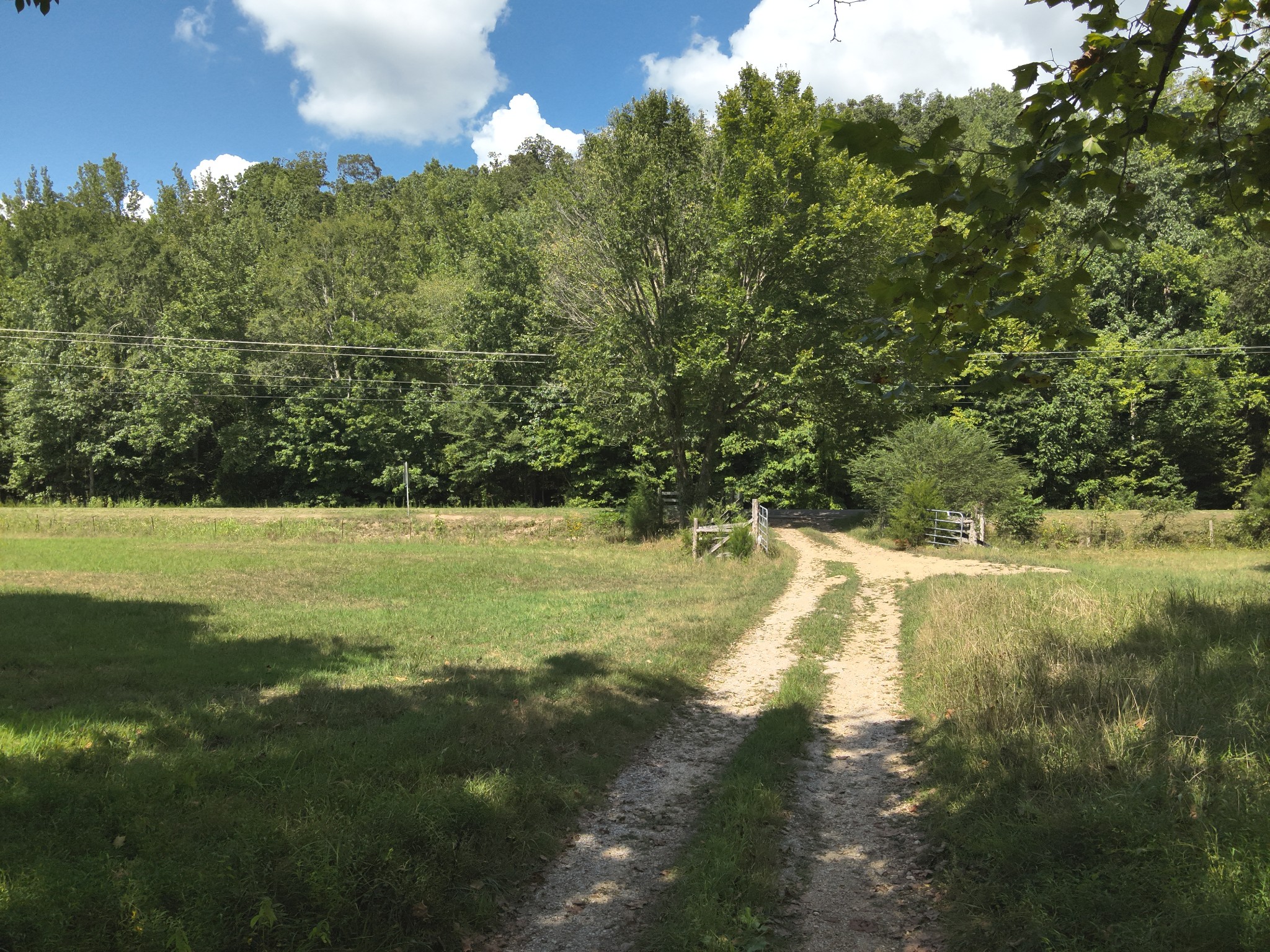 3733 Lick Creek Road Linden, TN 37096 - Photo 11 of 53 Gallery Image 11