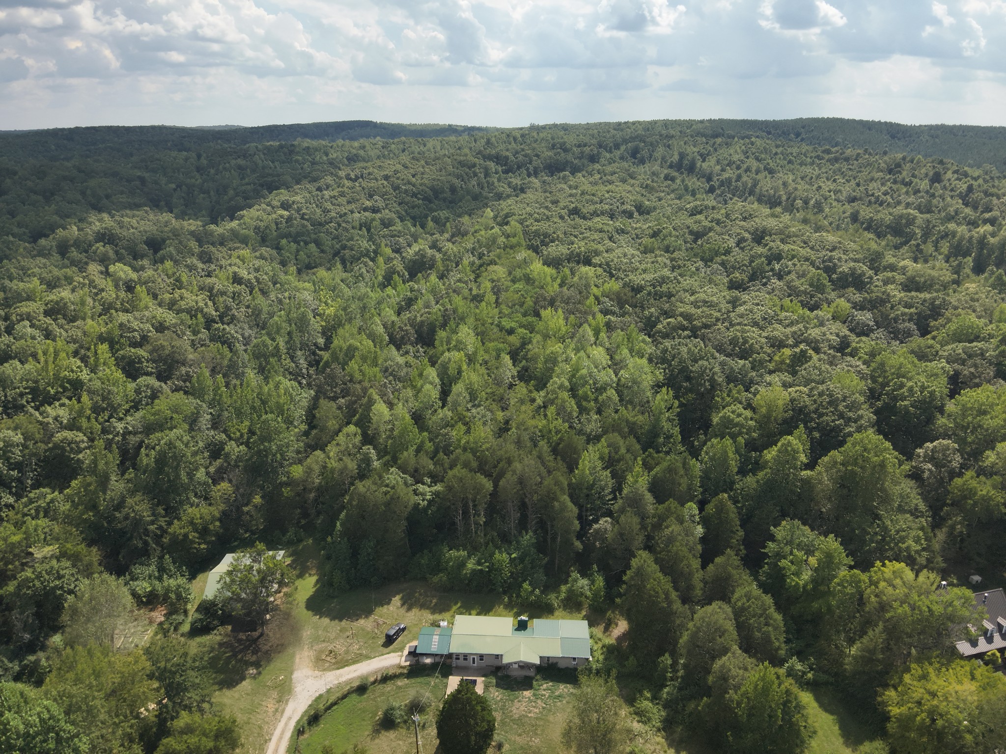 3733 Lick Creek Road Linden, TN 37096 - Photo 17 of 53 Gallery Image 17