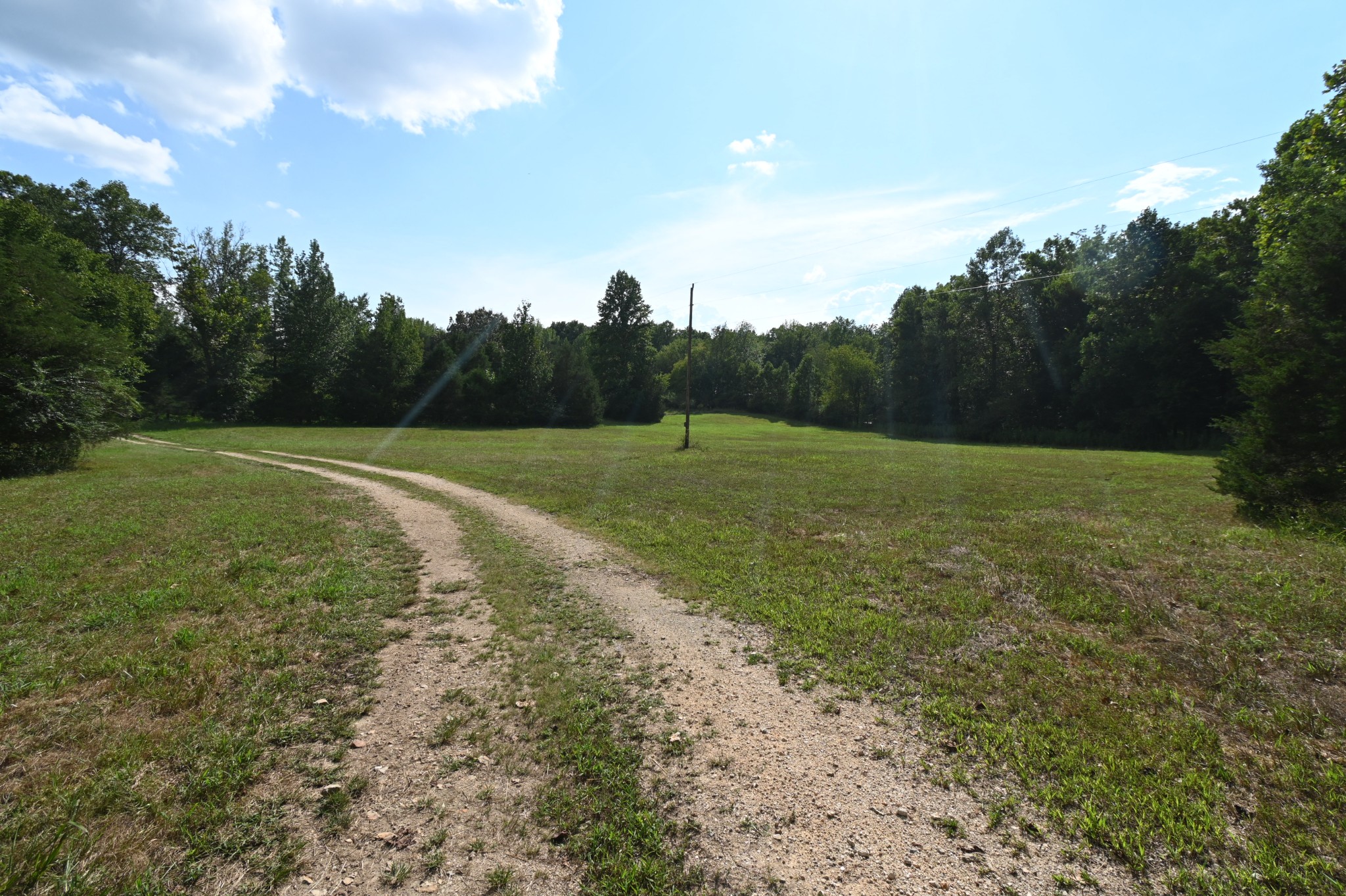 3733 Lick Creek Road Linden, TN 37096 - Photo 41 of 53 Gallery Image 41