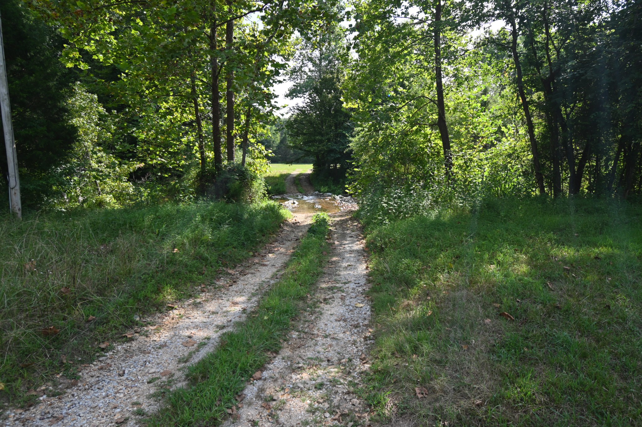 3733 Lick Creek Road Linden, TN 37096 - Photo 46 of 53 Gallery Image 46