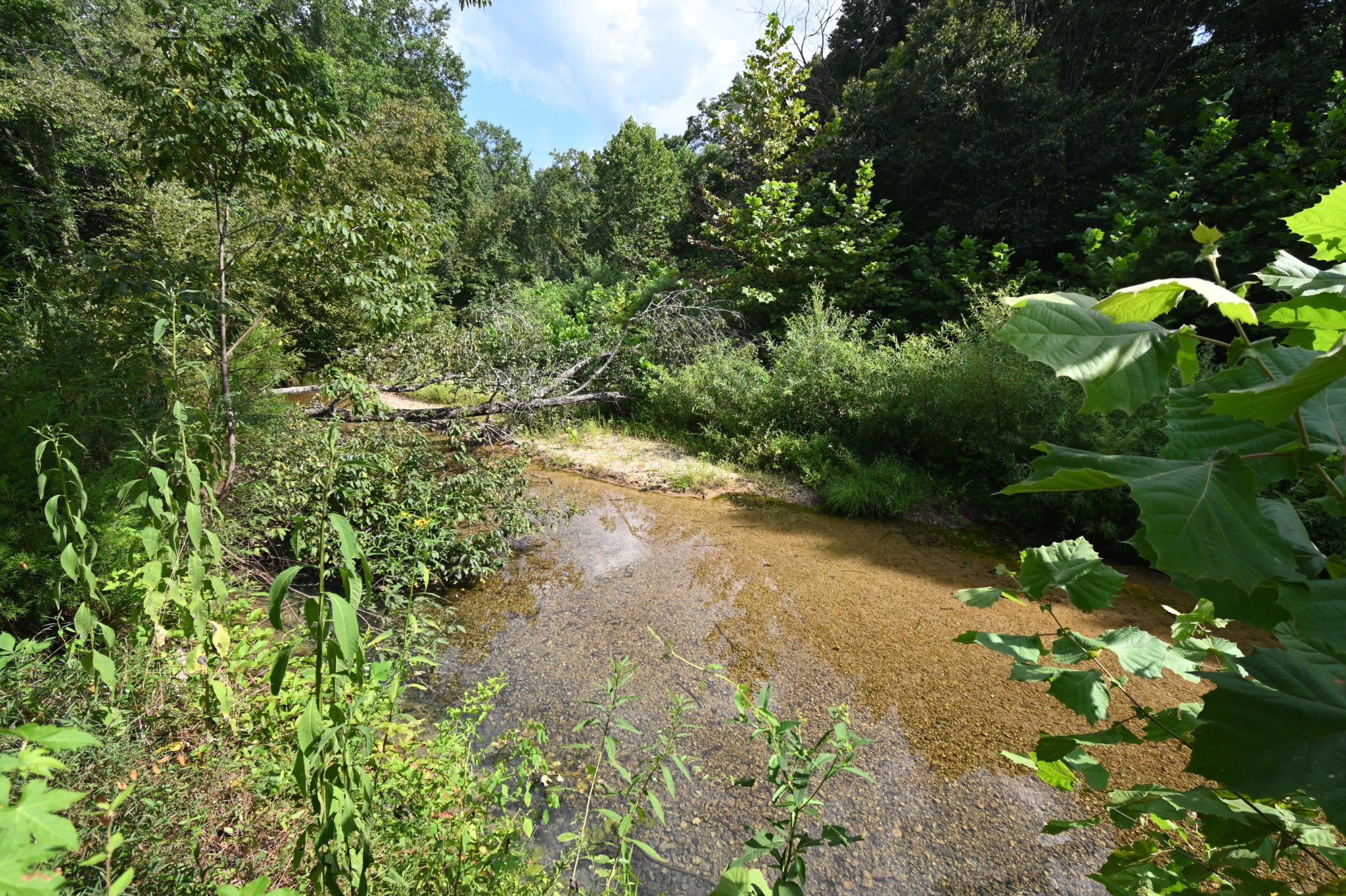3733 Lick Creek Road Linden, TN 37096 - Photo 50 of 53 Gallery Image 50