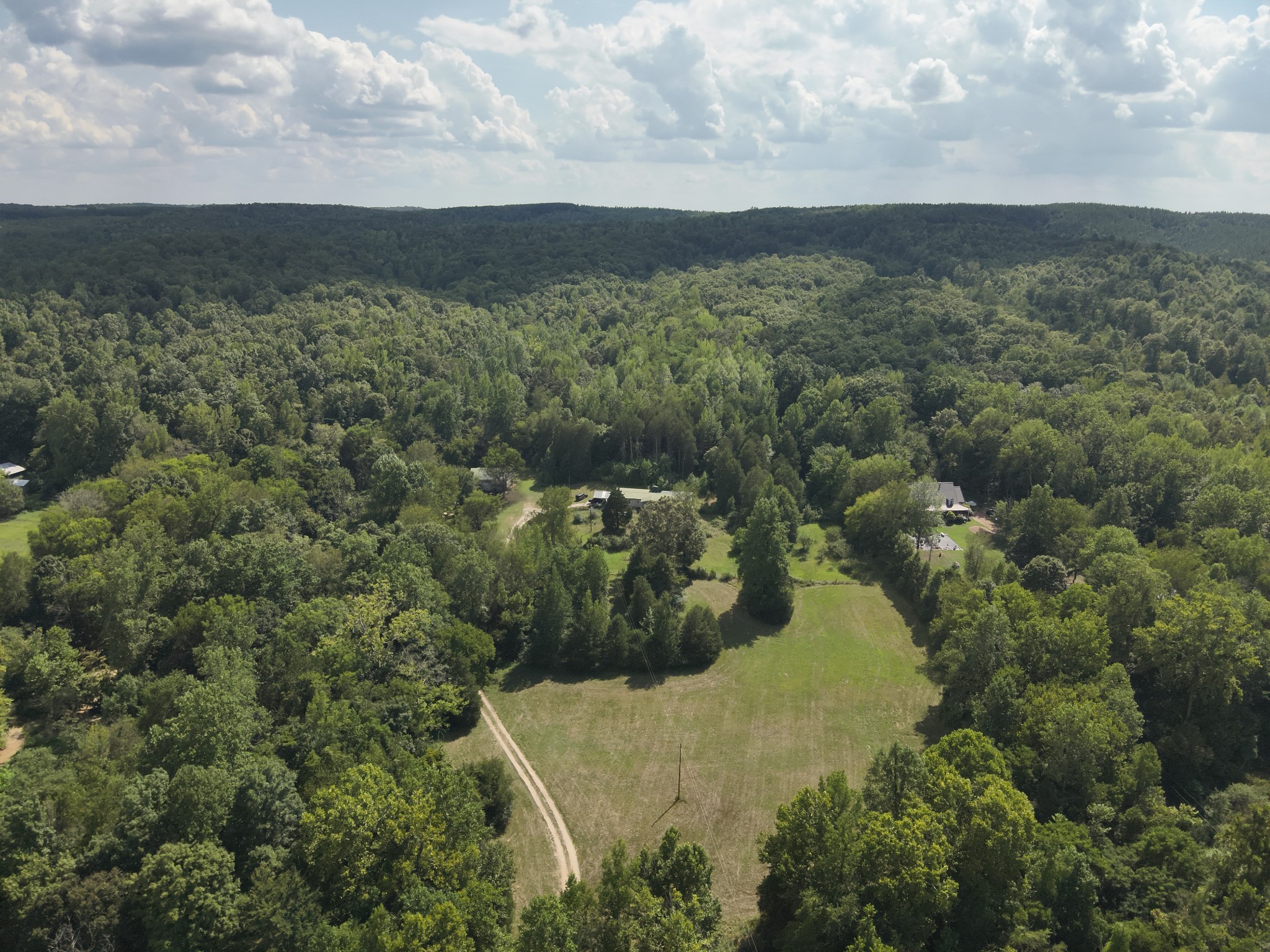 3733 Lick Creek Road Linden, TN 37096 - Photo 8 of 53 Gallery Image 8
