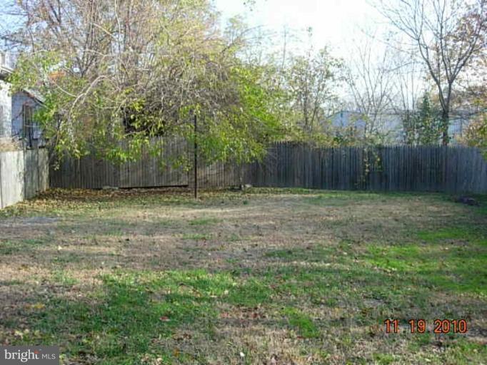 Back yard