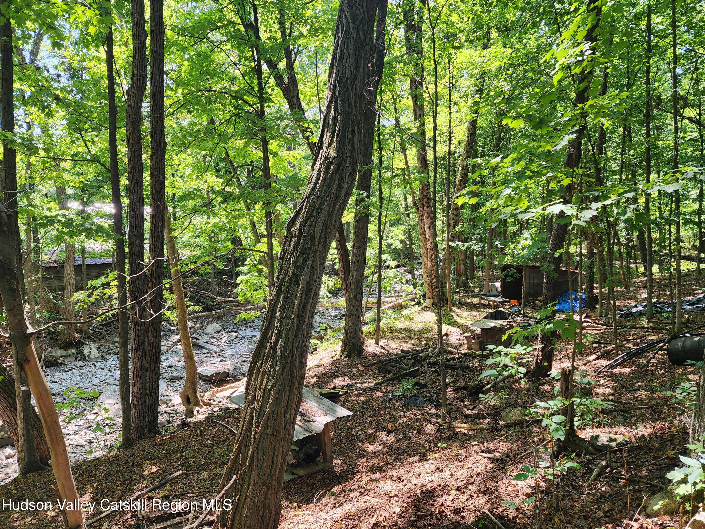 9 Hamm Road Durham, NY 12422 - Photo 6 of 21 a view of outdoor space and tree