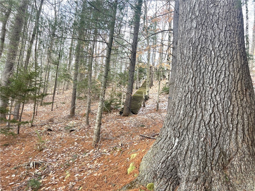 10416 Soft Maple Reservoir Lp Road Croghan, NY 13327 - Photo 16 of 25