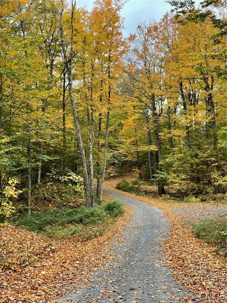 10416 Soft Maple Reservoir Lp Road Croghan, NY 13327 - Photo 17 of 25