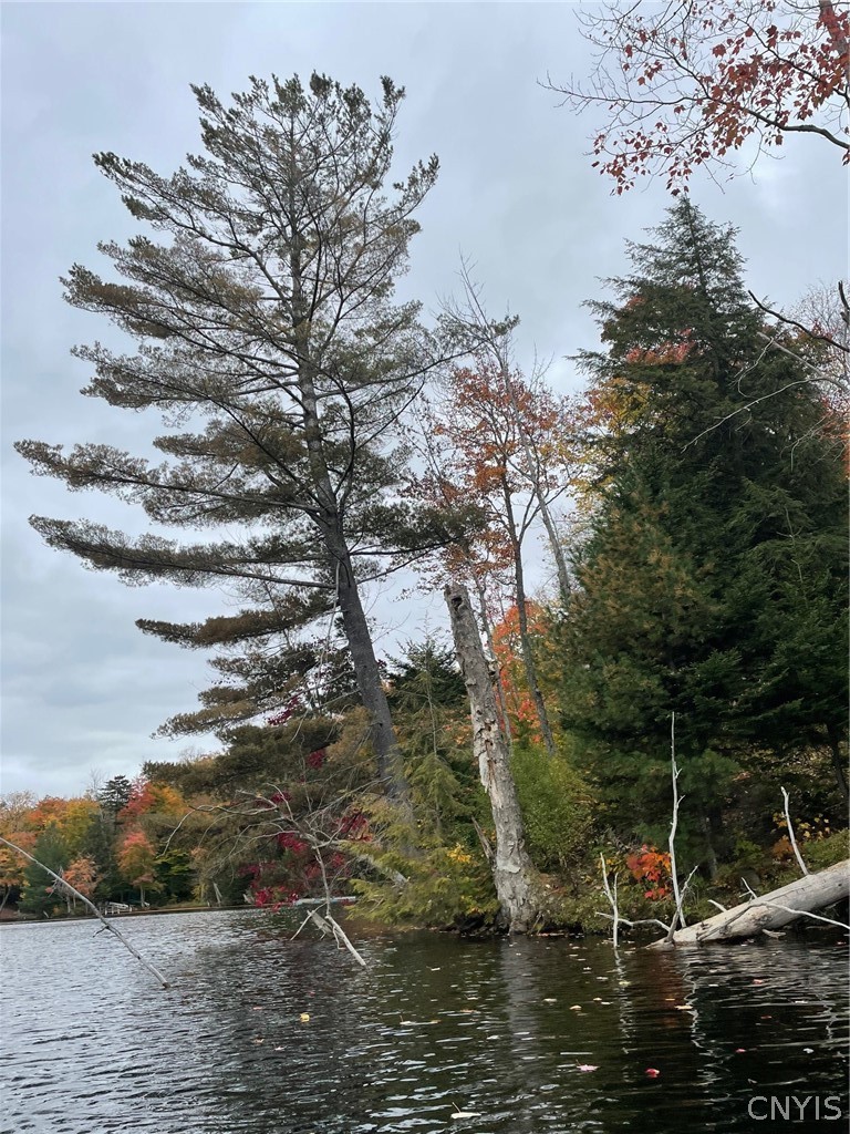 10416 Soft Maple Reservoir Lp Road Croghan, NY 13327 - Photo 18 of 25