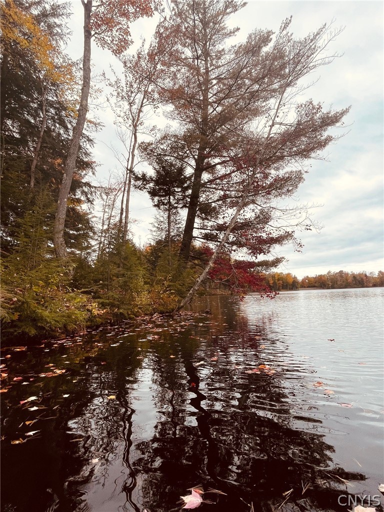 10416 Soft Maple Reservoir Lp Road Croghan, NY 13327 - Photo 19 of 25