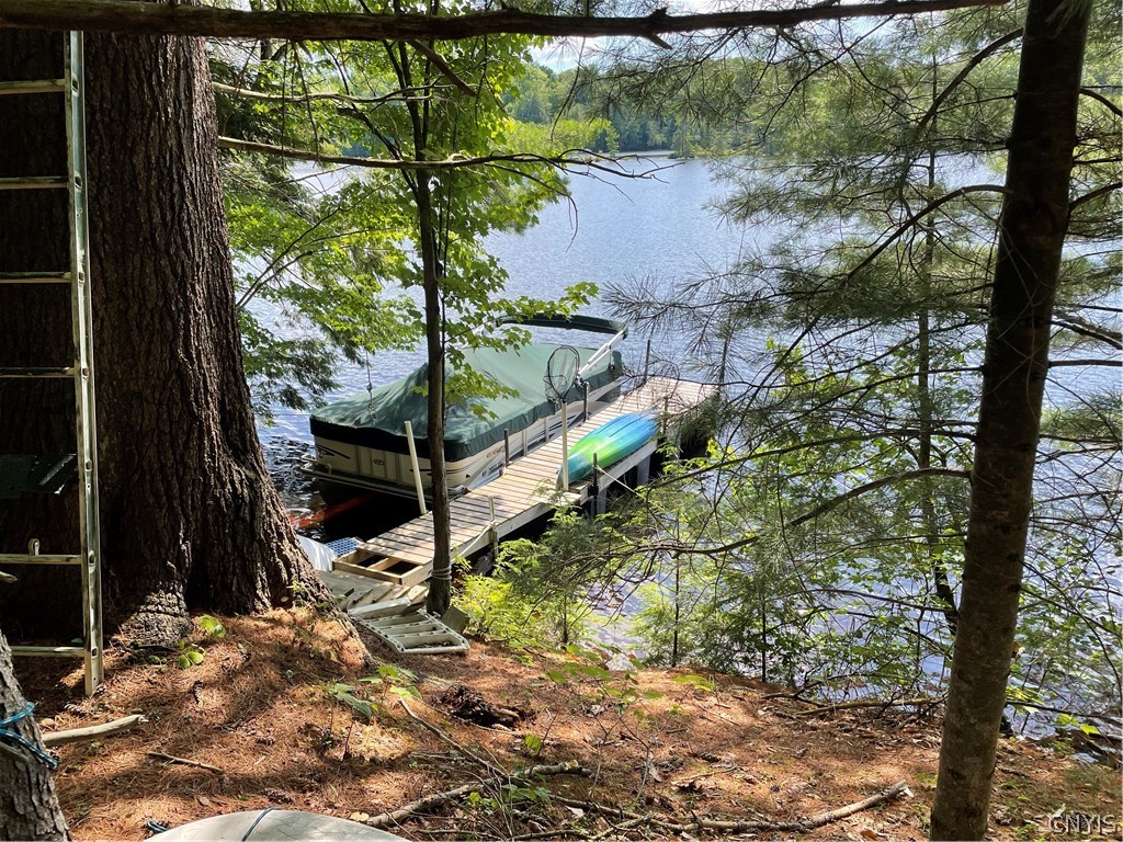 10416 Soft Maple Reservoir Lp Road Croghan, NY 13327 - Photo 2 of 25