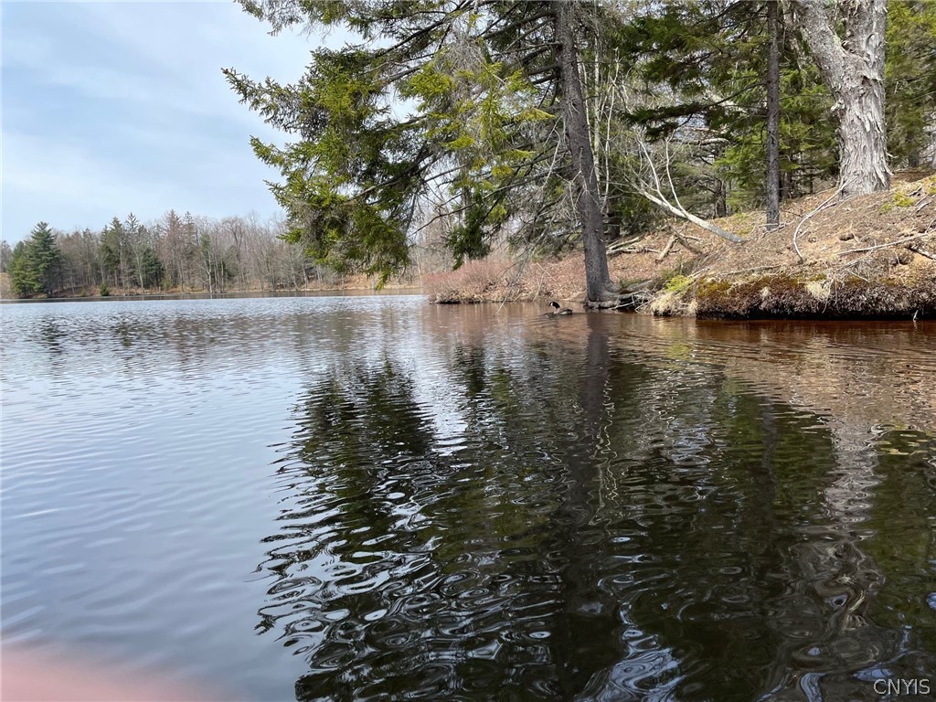 10416 Soft Maple Reservoir Lp Road Croghan, NY 13327 - Photo 3 of 25