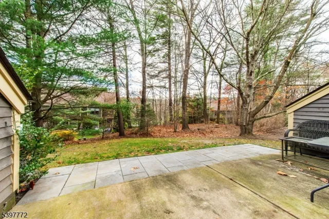 a view of a yard with plants and trees