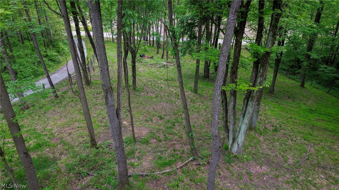 5309 Cherry Run Road Northwest Strasburg, OH 44680 - Photo 20 of 49