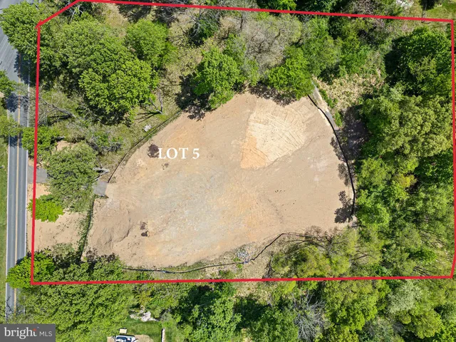 a view of a lush green field with lots of bushes