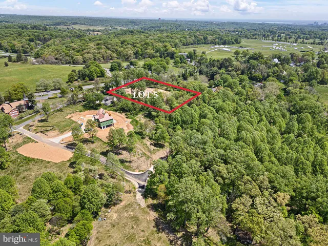 a view of a yard with plants