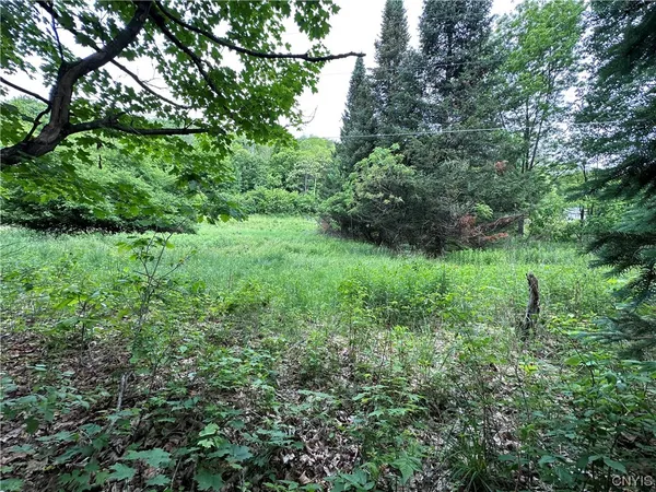 $50,000 | 197 River Road, Fowler, NY 13642