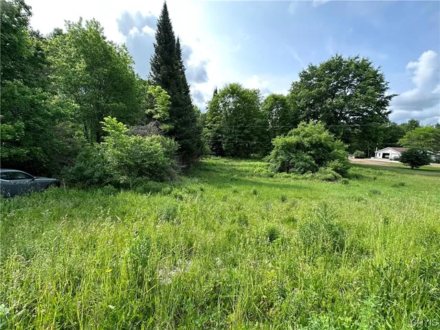 $50,000 | 197 River Road, Fowler, NY 13642