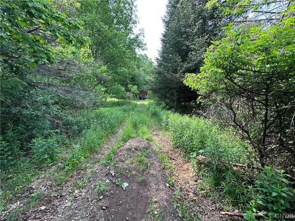 $50,000 | 197 River Road, Fowler, NY 13642