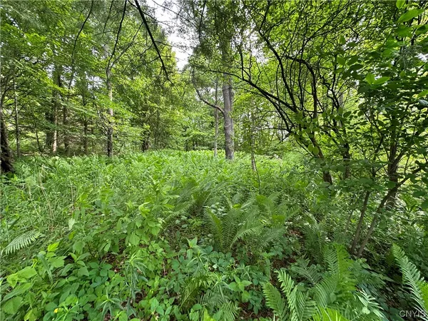 $50,000 | 197 River Road, Fowler, NY 13642