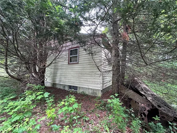 $50,000 | 197 River Road, Fowler, NY 13642