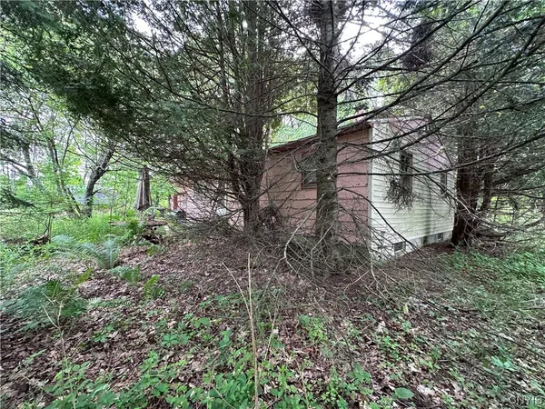 $50,000 | 197 River Road, Fowler, NY 13642