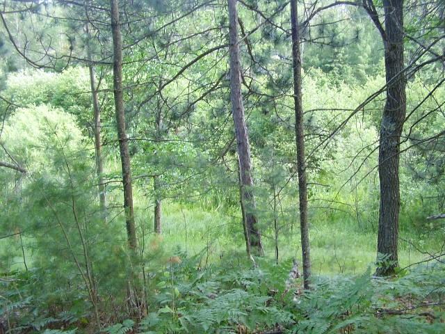 4281 Kneeland Road Lewiston, MI 49756 - Photo 8 of 11 Gallery Image 8