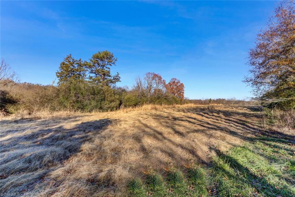 6315 Chilton Road Ramseur, NC 27316 - Photo 16 of 37