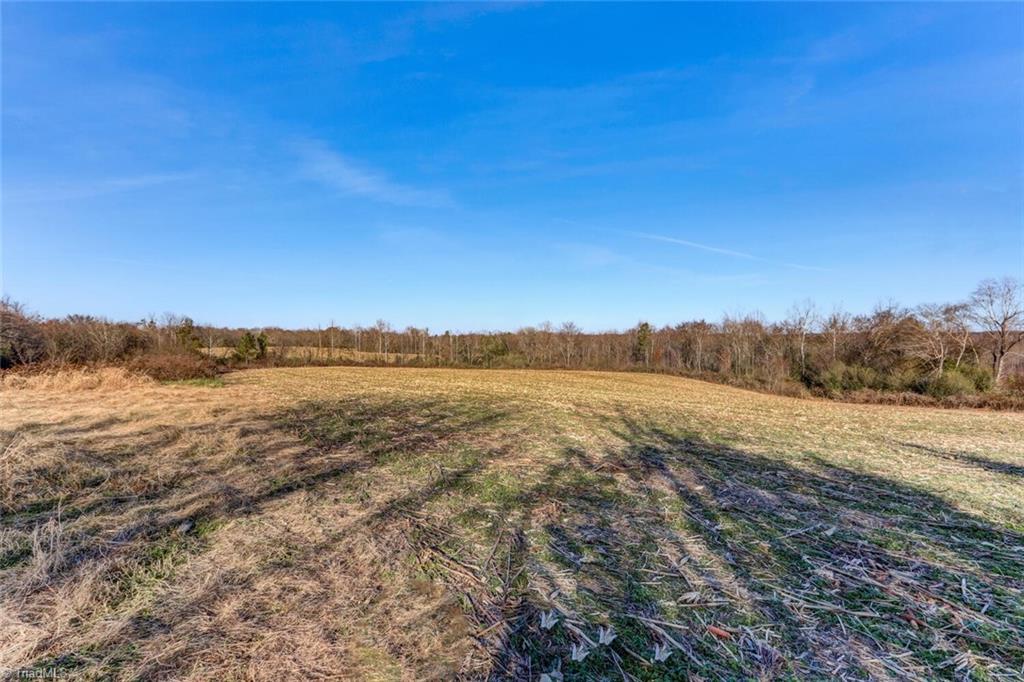 6315 Chilton Road Ramseur, NC 27316 - Photo 18 of 37