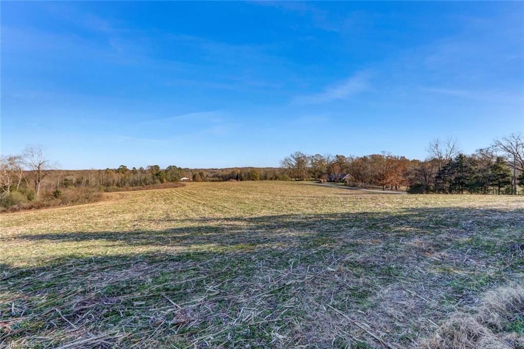 6315 Chilton Road Ramseur, NC 27316 - Photo 19 of 37