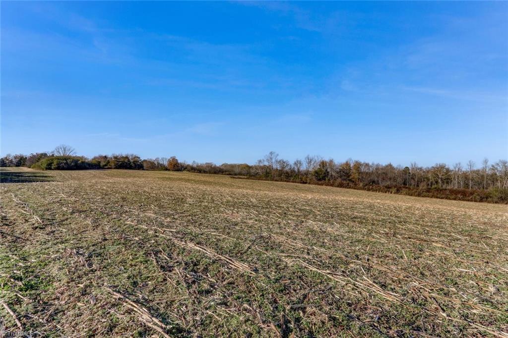 6315 Chilton Road Ramseur, NC 27316 - Photo 20 of 37