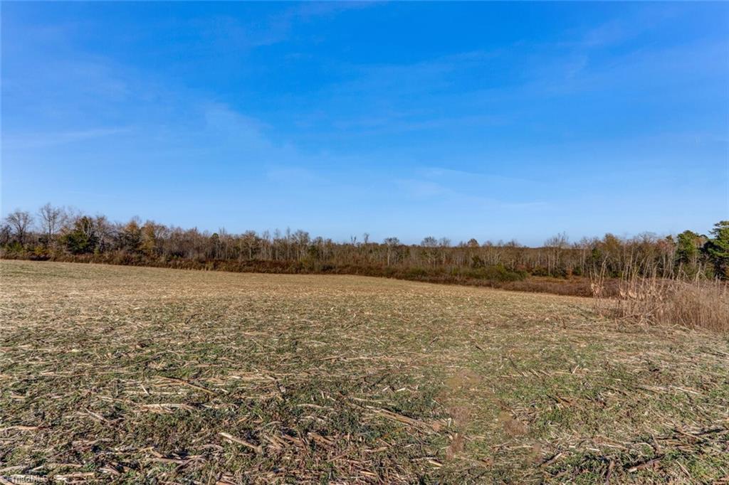 6315 Chilton Road Ramseur, NC 27316 - Photo 21 of 37