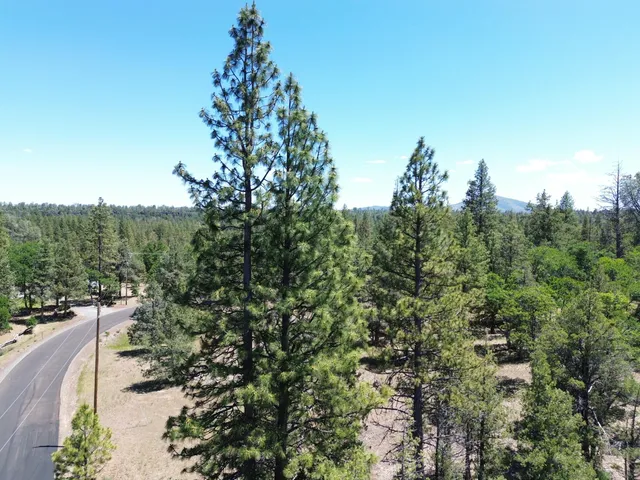$37,500 | 0 Shoshoni Loop, Fall River Mills, CA 96028