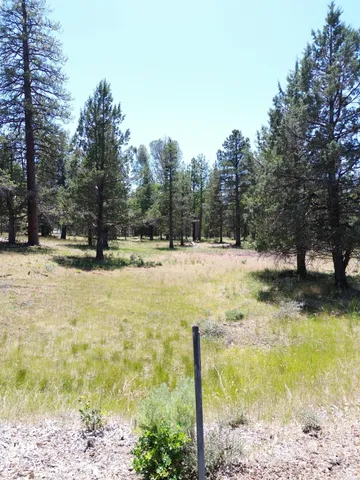 $37,500 | 0 Shoshoni Loop, Fall River Mills, CA 96028