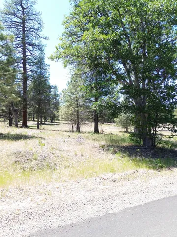 $37,500 | 0 Shoshoni Loop, Fall River Mills, CA 96028