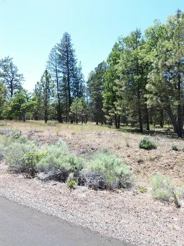 $37,500 | 0 Shoshoni Loop, Fall River Mills, CA 96028