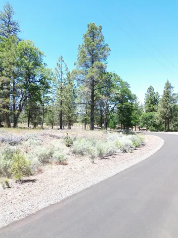 $37,500 | 0 Shoshoni Loop, Fall River Mills, CA 96028