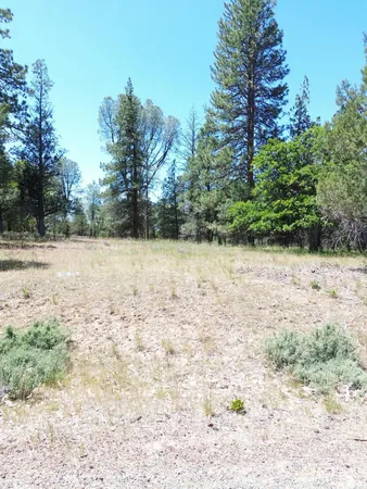 $37,500 | 0 Shoshoni Loop, Fall River Mills, CA 96028