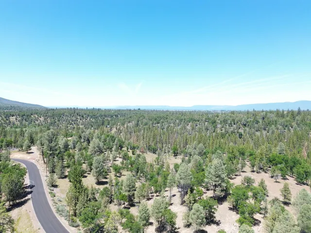 $37,500 | 0 Shoshoni Loop, Fall River Mills, CA 96028