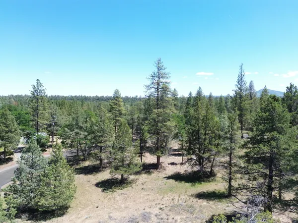 $37,500 | 0 Shoshoni Loop, Fall River Mills, CA 96028
