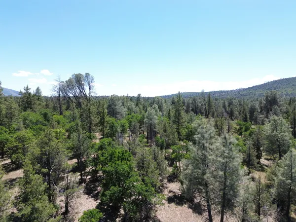 $37,500 | 0 Shoshoni Loop, Fall River Mills, CA 96028