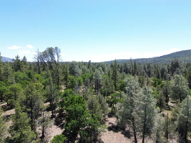 $37,500 | 0 Shoshoni Loop, Fall River Mills, CA 96028