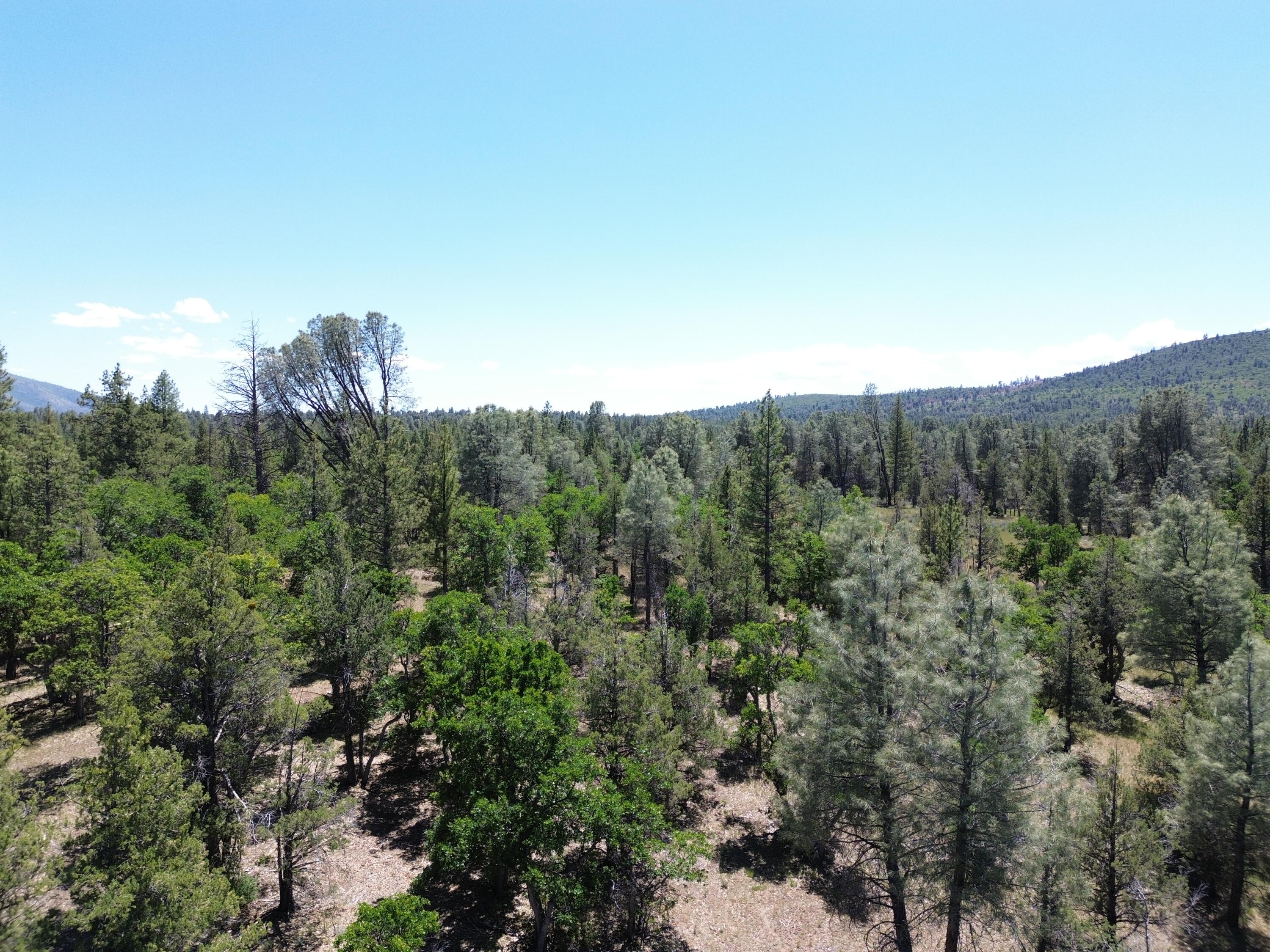 0 Shoshoni Loop Fall River Mills, CA 96028 - Photo 4 of 15 DJI_0579